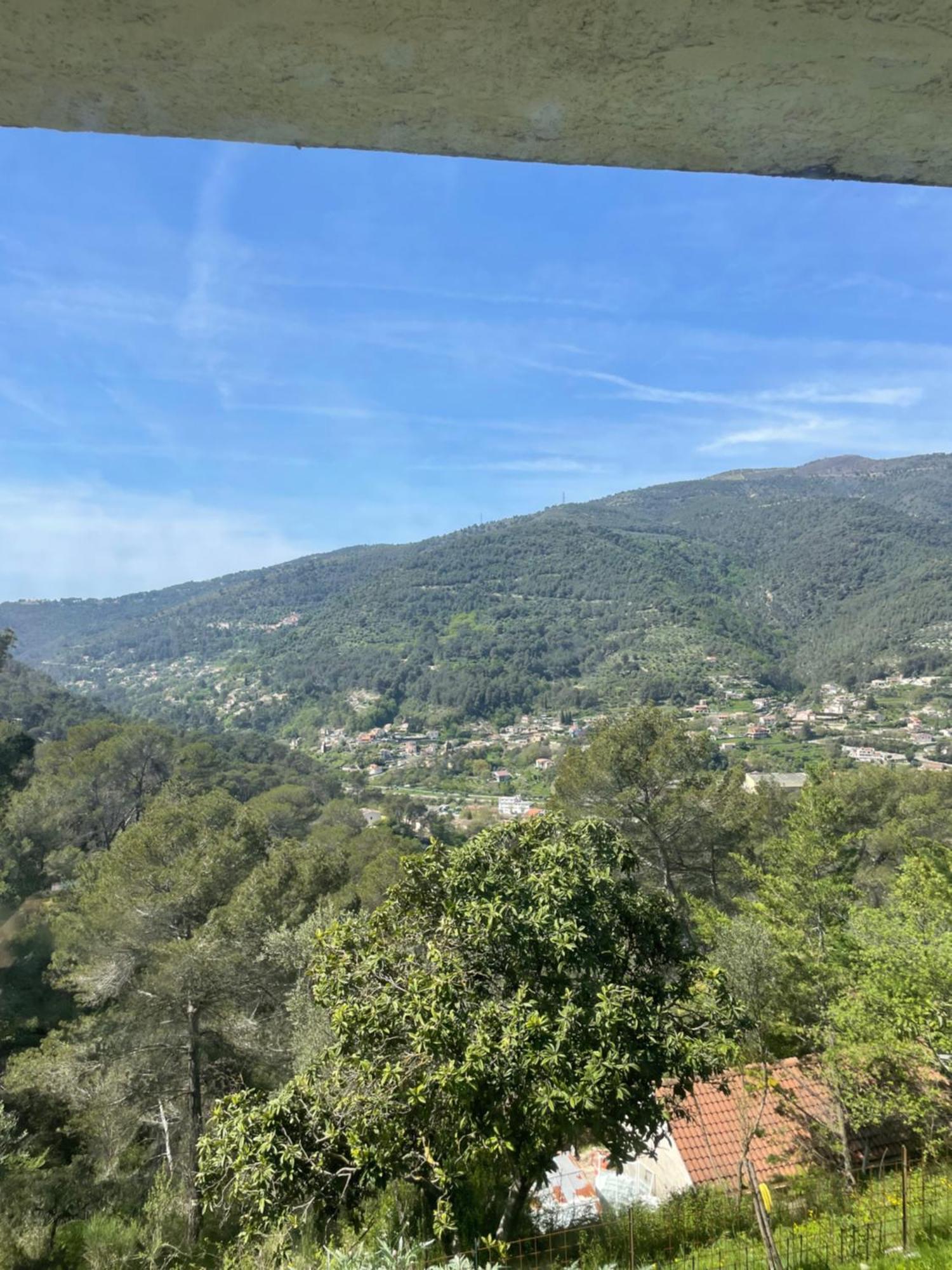 Charme Provencal Pres De Nice ブロサスク エクステリア 写真